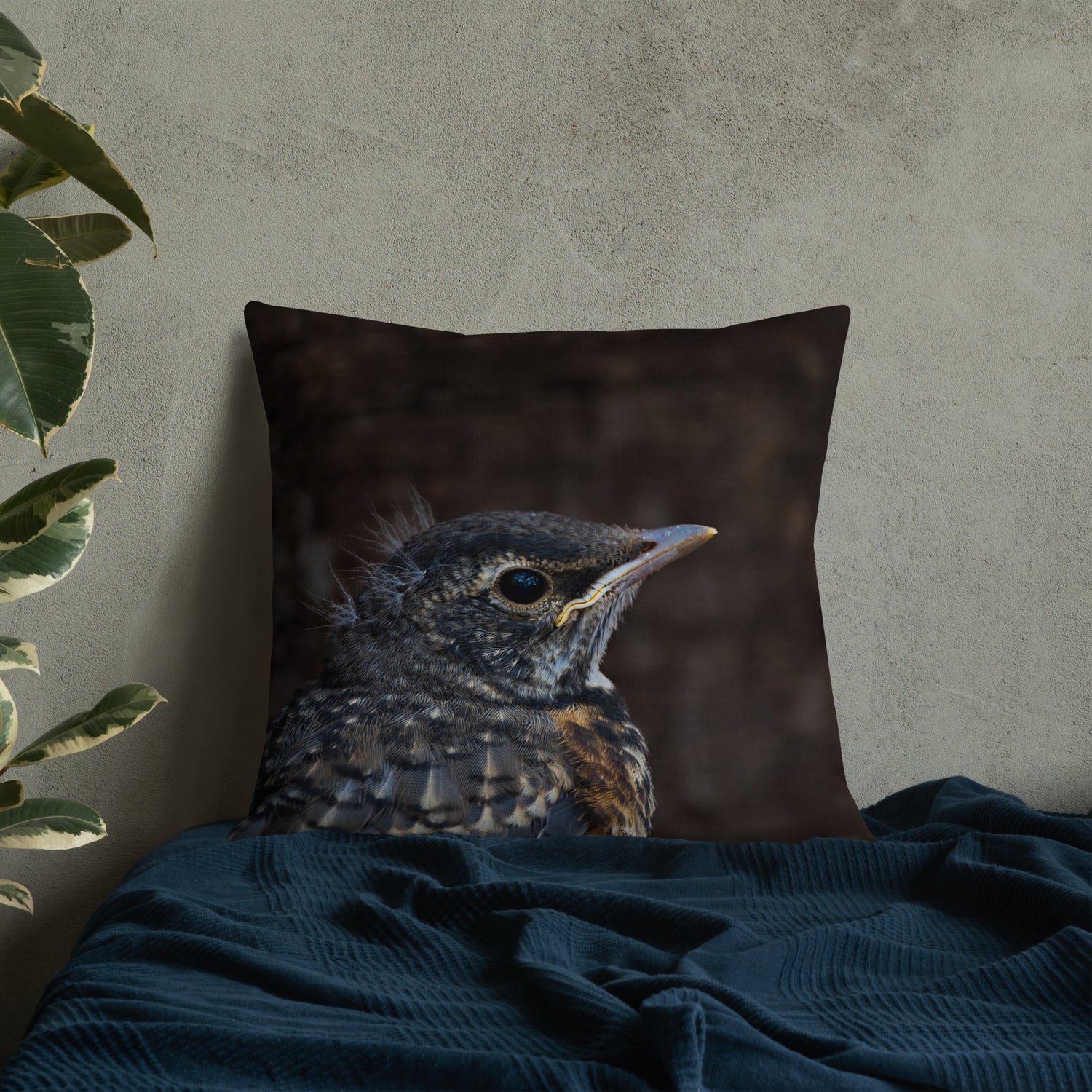 Baby Robin Premium Pillow