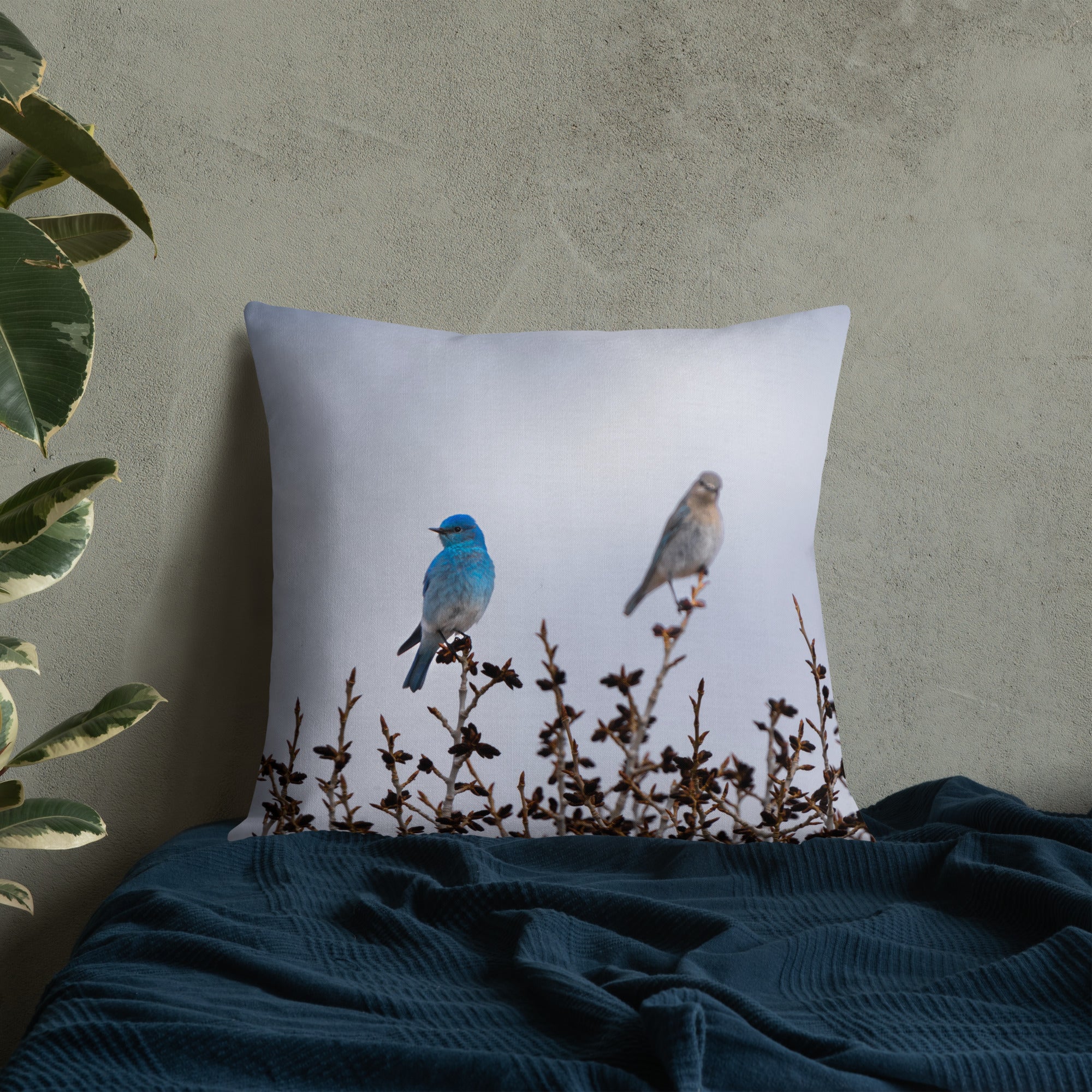 Couple of Mountain Bluebirds Premium Pillow