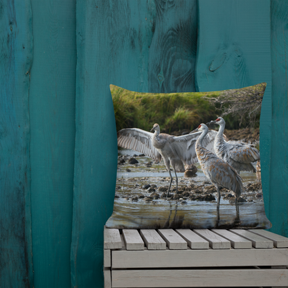 Sandhill Cranes Decorative Pillow | A Gift Before Goodbye
