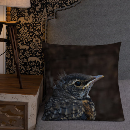 Baby Robin Premium Pillow