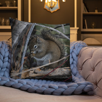 Squirrel Premium Pillow