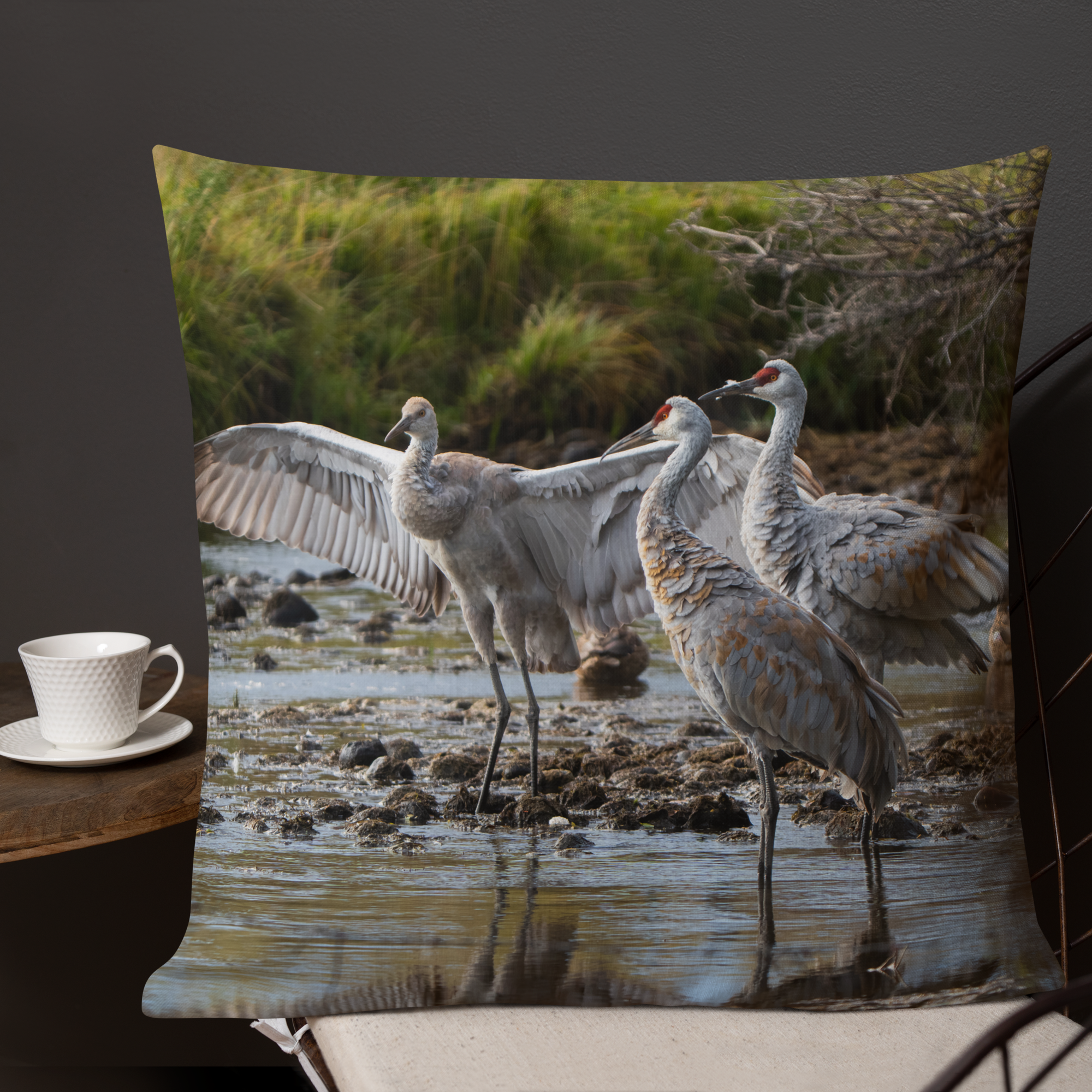 Sandhill Cranes Decorative Pillow | A Gift Before Goodbye