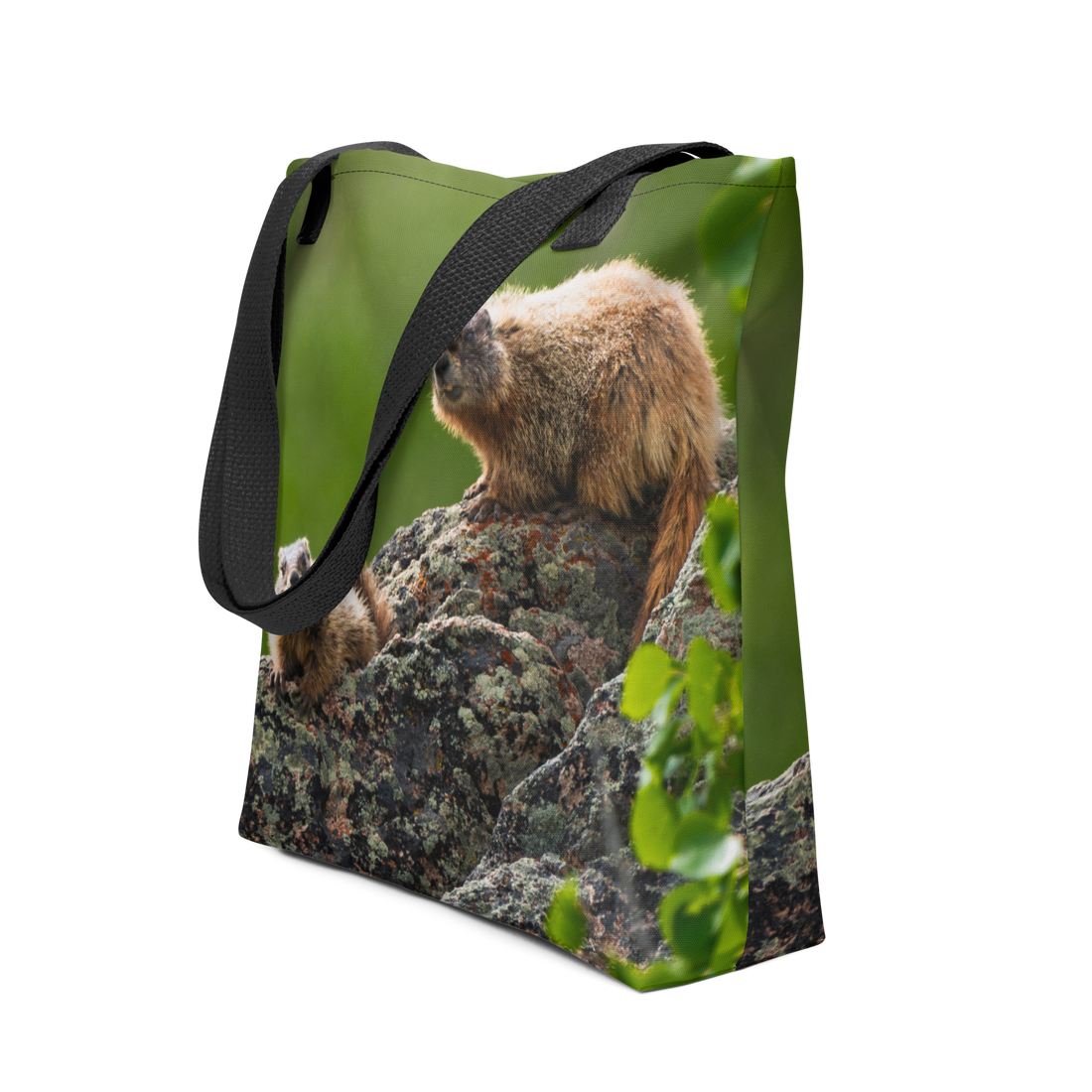Marmot Tote bag
