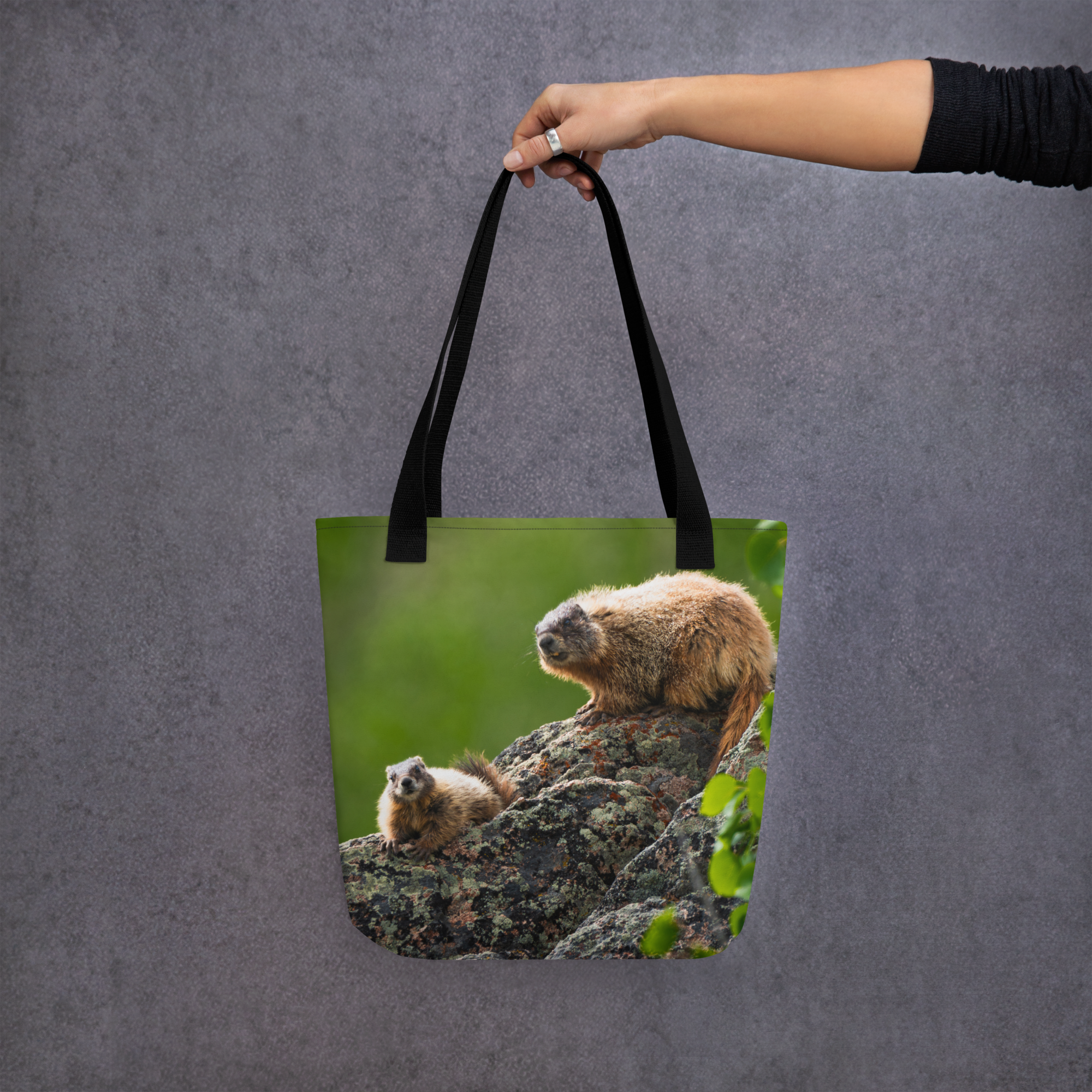 Marmot Tote bag