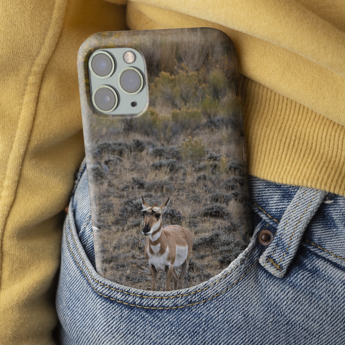 Pronghorn in the Fall Tough Case for iPhone®