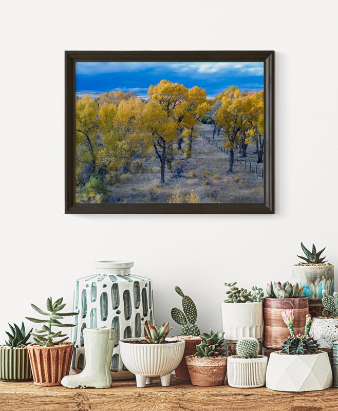 Wyoming Landscape in the Fall