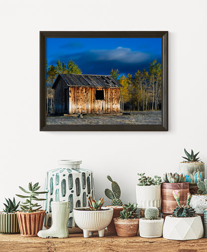 Old Cabin in the Fall