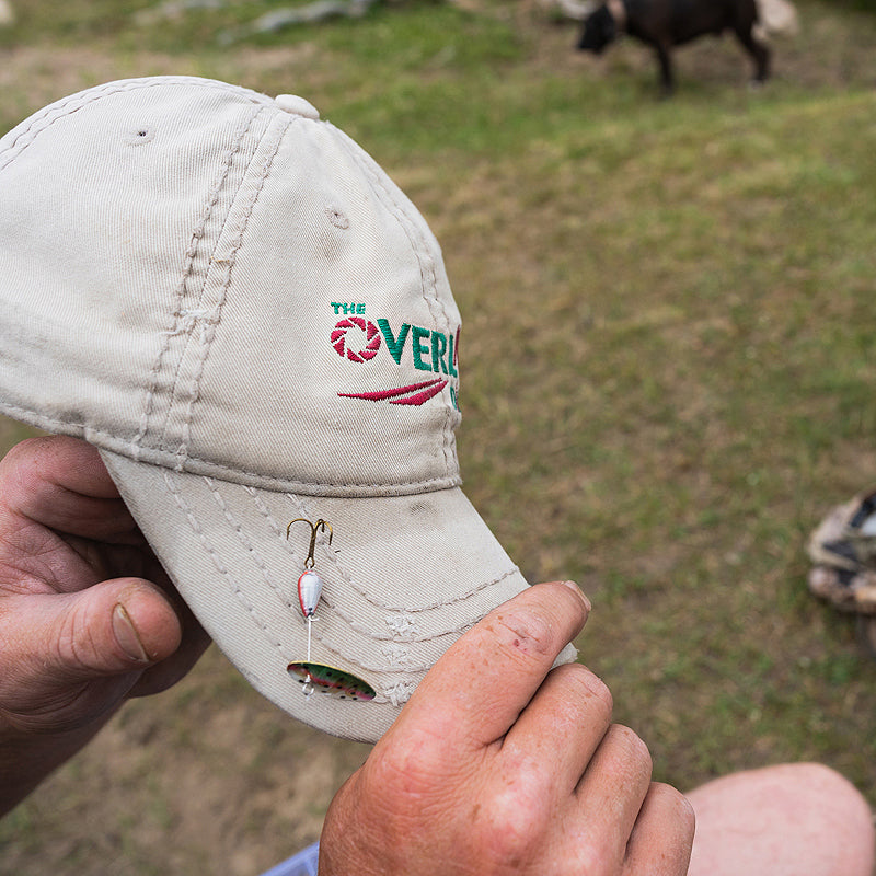 Distressed Dad Hat