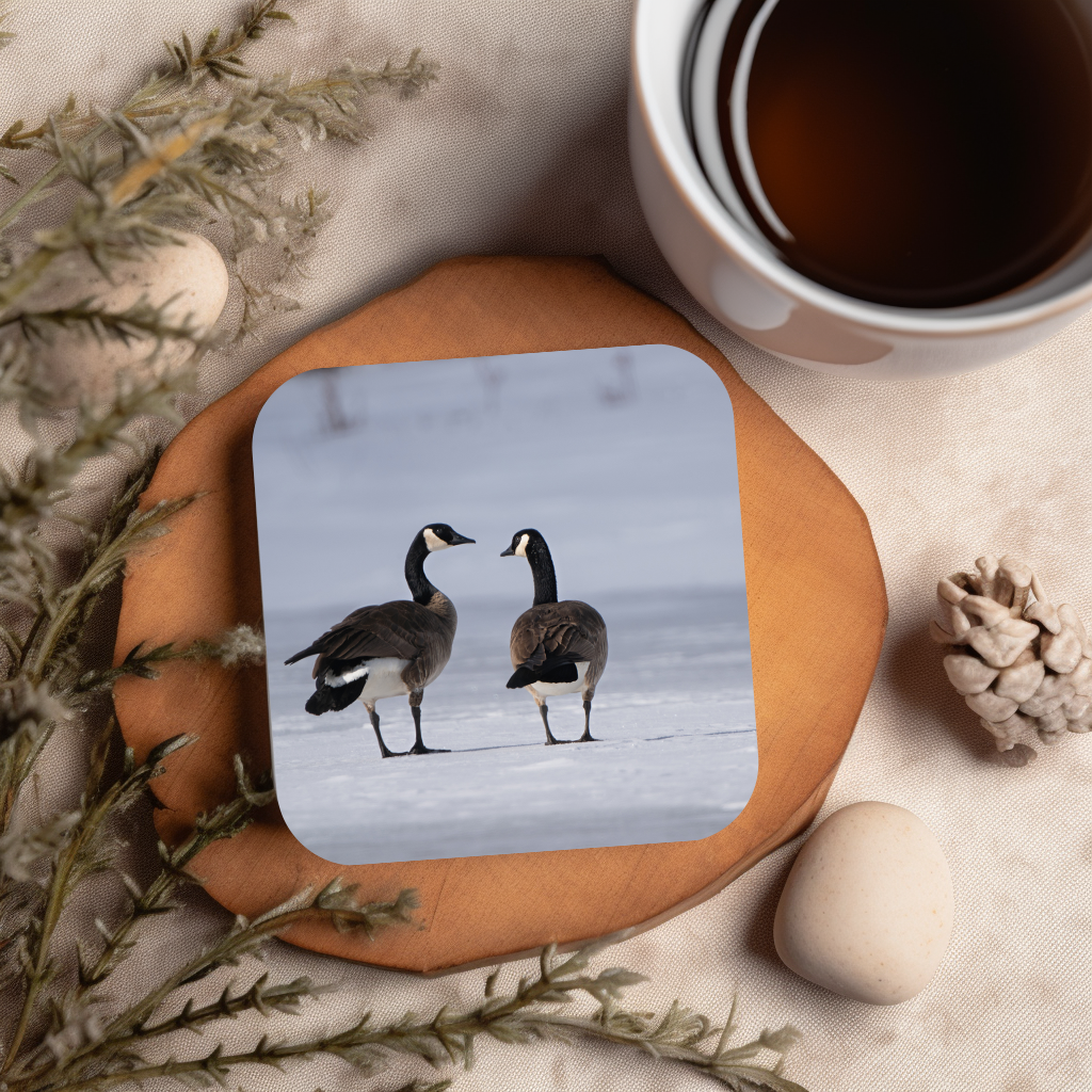 Canada Geese in Winter Cork-back coaster