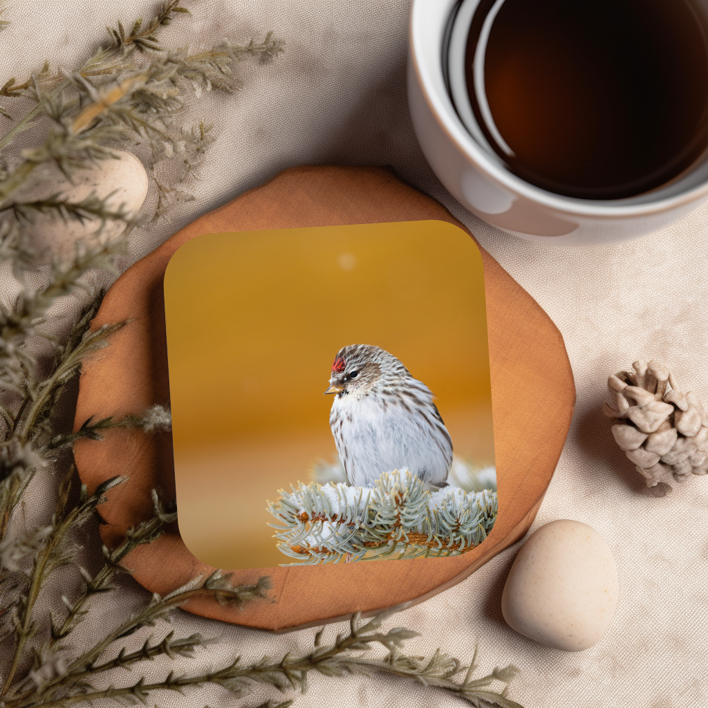 Gift Bird Lover Cork-Back Coaster