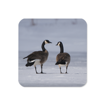 Canada Geese in Winter Cork-back coaster