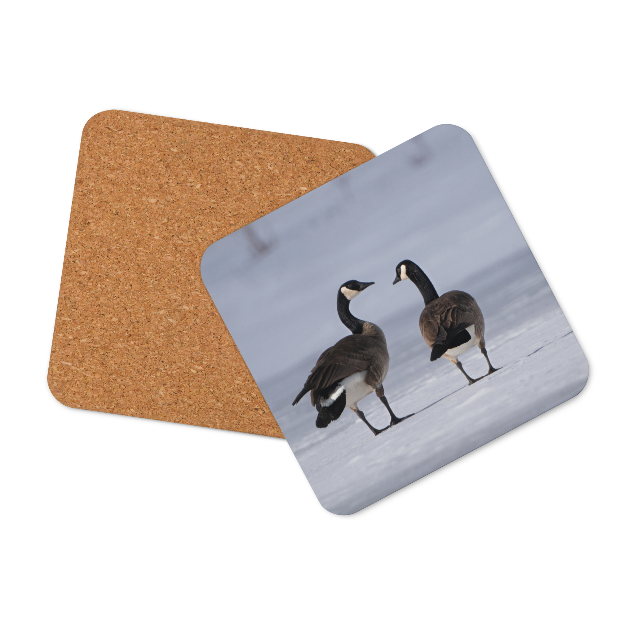 Canada Geese in Winter Cork-back coaster