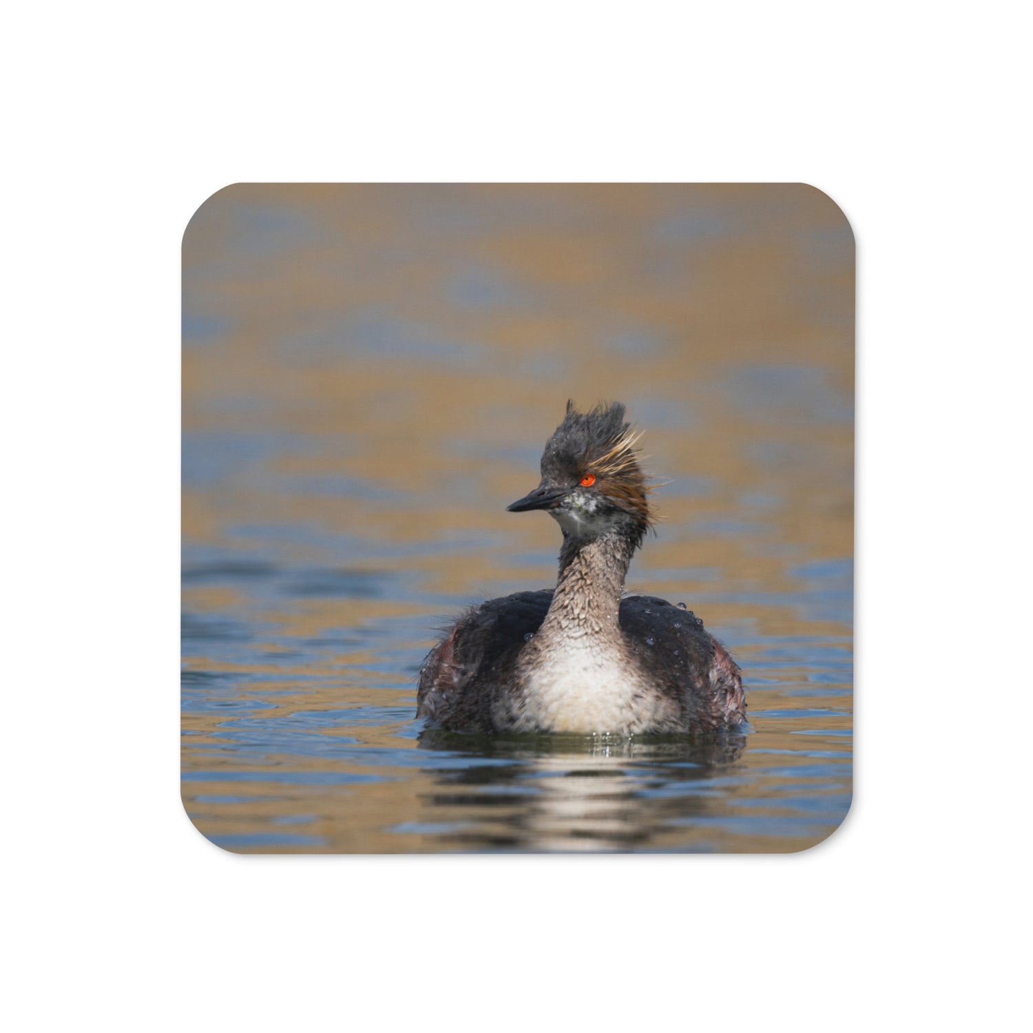 Eared Grebe Cork-back coaster