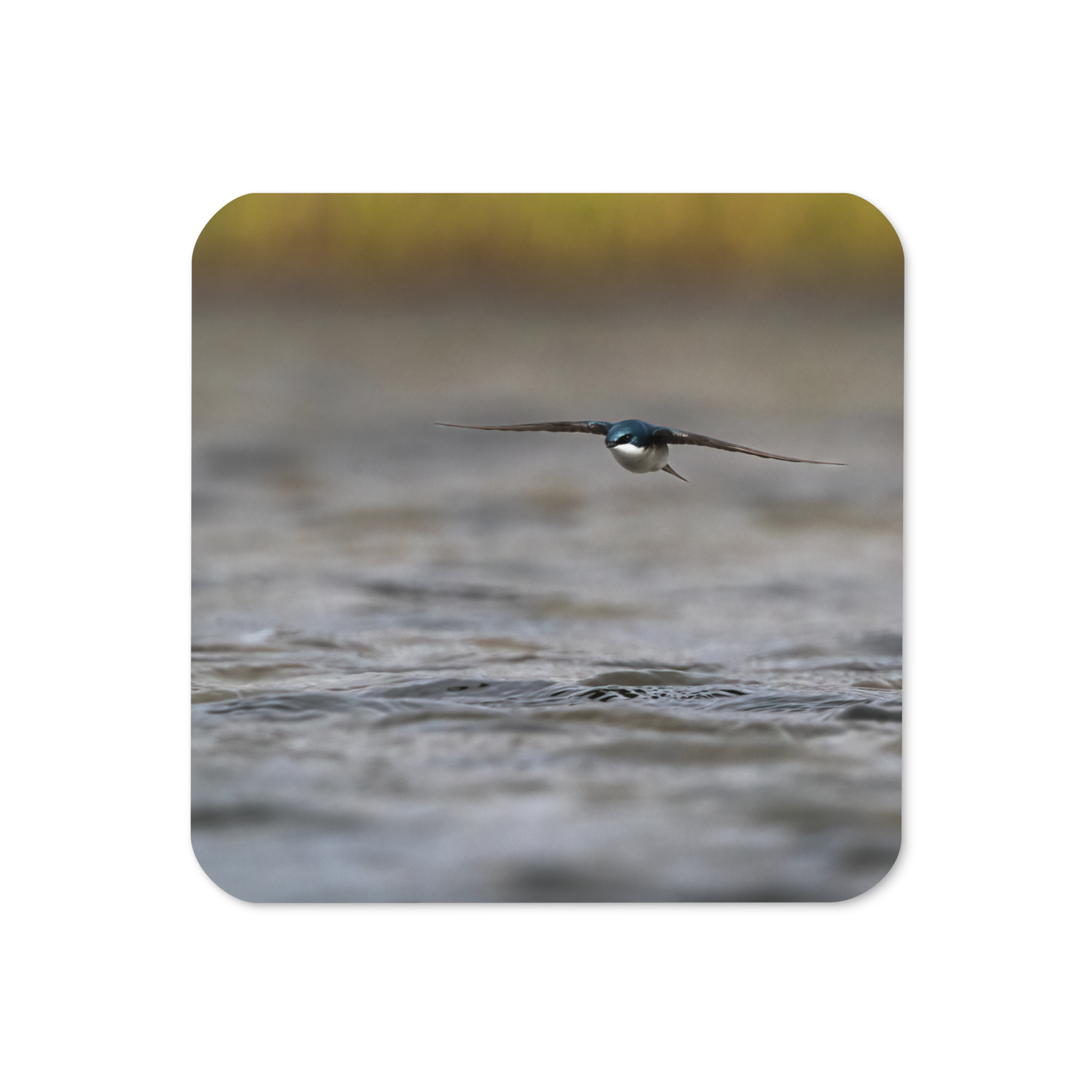 Flying Tree Swallow Cork-back coaster