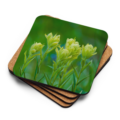 Indian Paint Brush Cork-back coaster