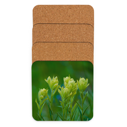 Indian Paint Brush Cork-back coaster