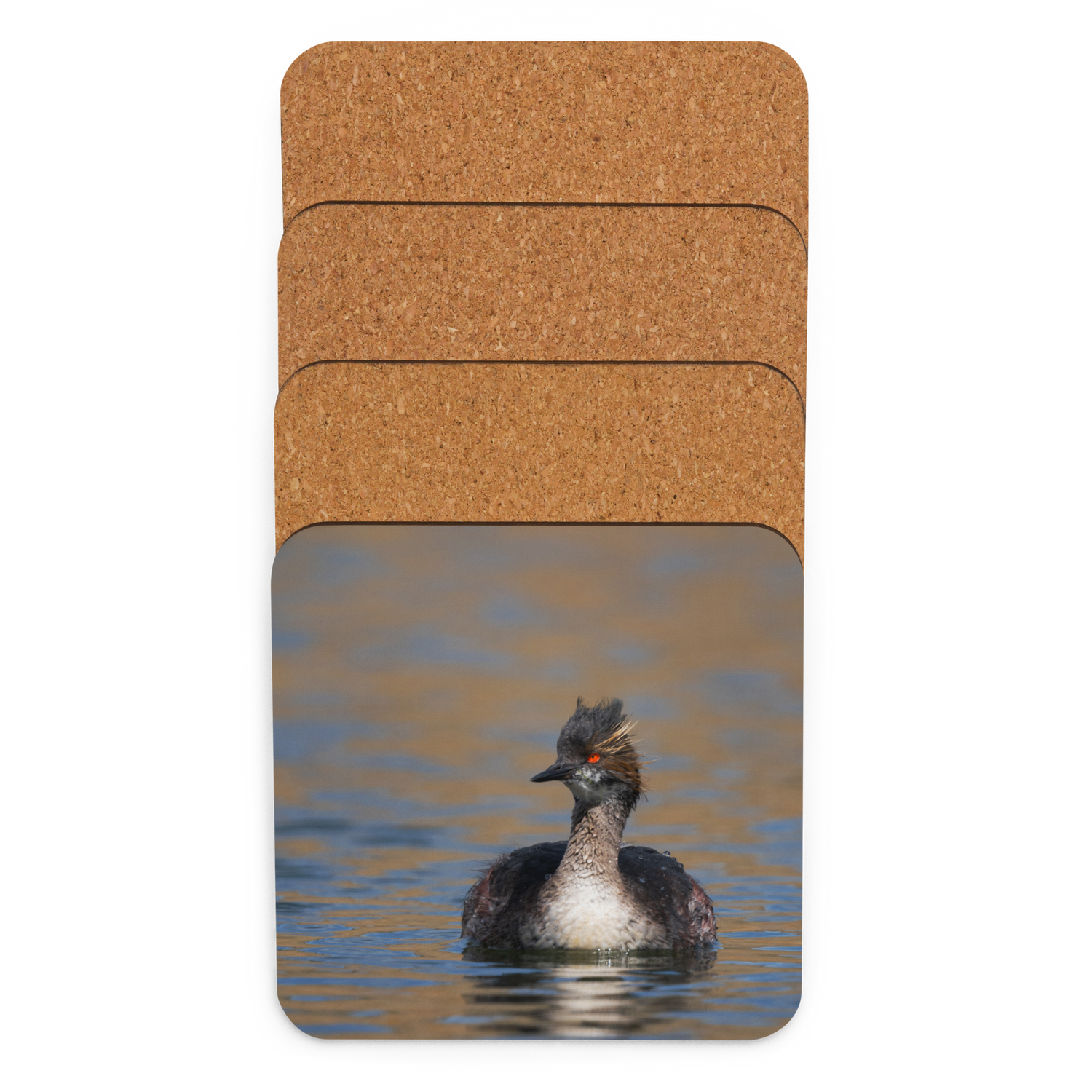 Eared Grebe Cork-back coaster