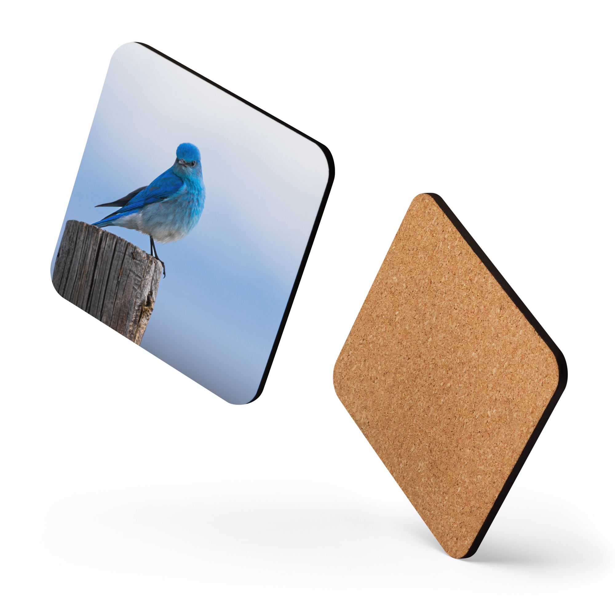 Mountain Bluebird Cork-back coaster