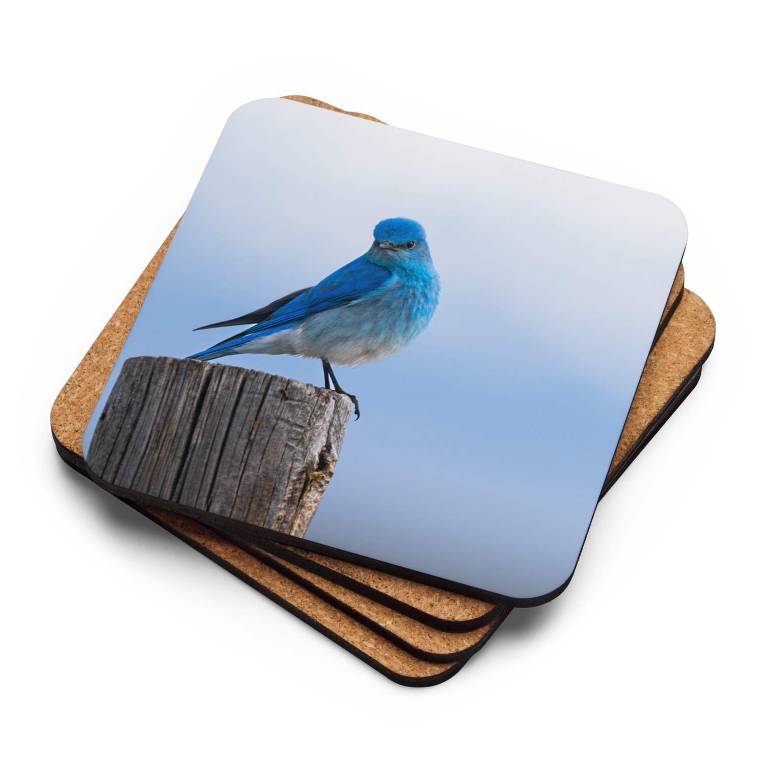 Mountain Bluebird Cork-back coaster