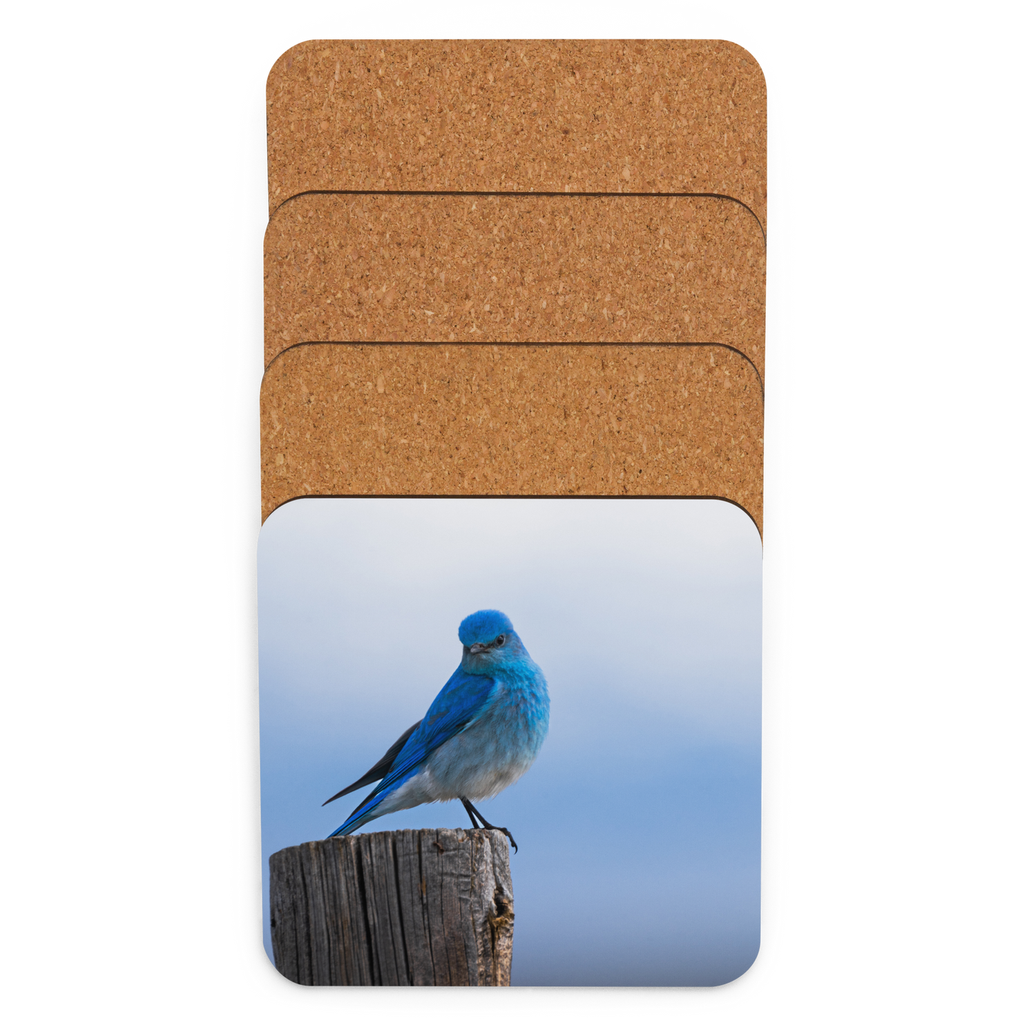 Mountain Bluebird Cork-back coaster