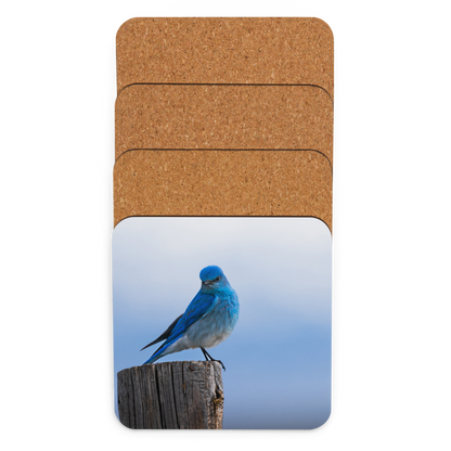 Mountain Bluebird Cork-back coaster