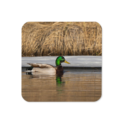 Mallard Duck Cork-back coaster