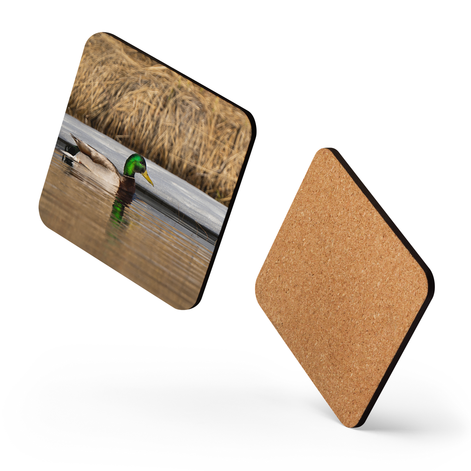 Mallard Duck Cork-back coaster