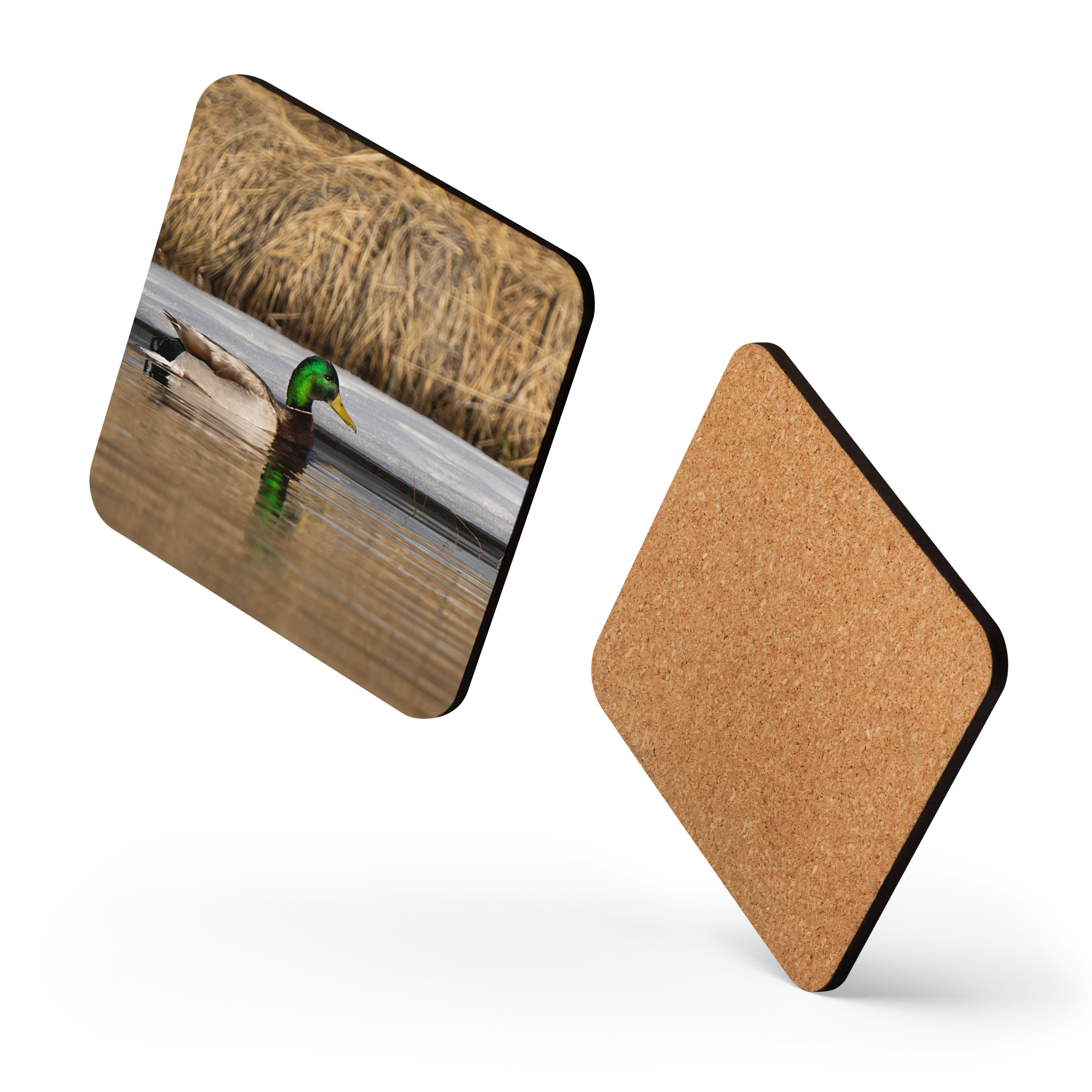 Mallard Duck Cork-back coaster