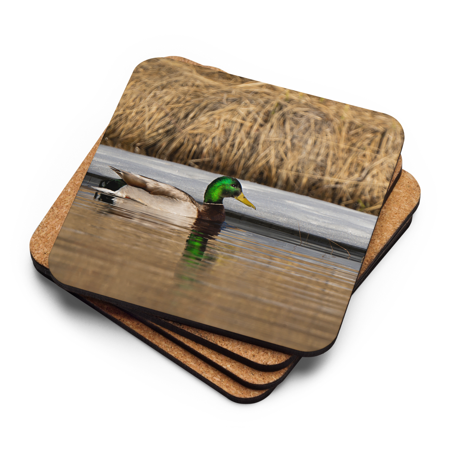 Mallard Duck Cork-back coaster