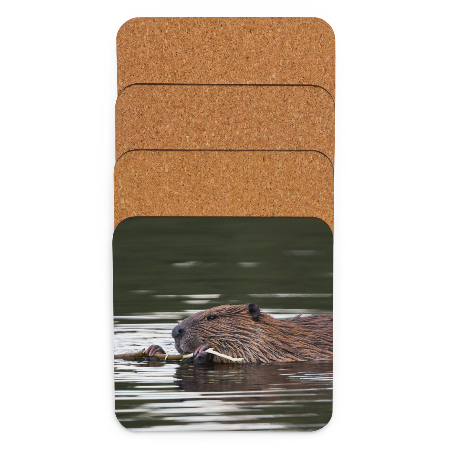 Beaver Cork-back coaster