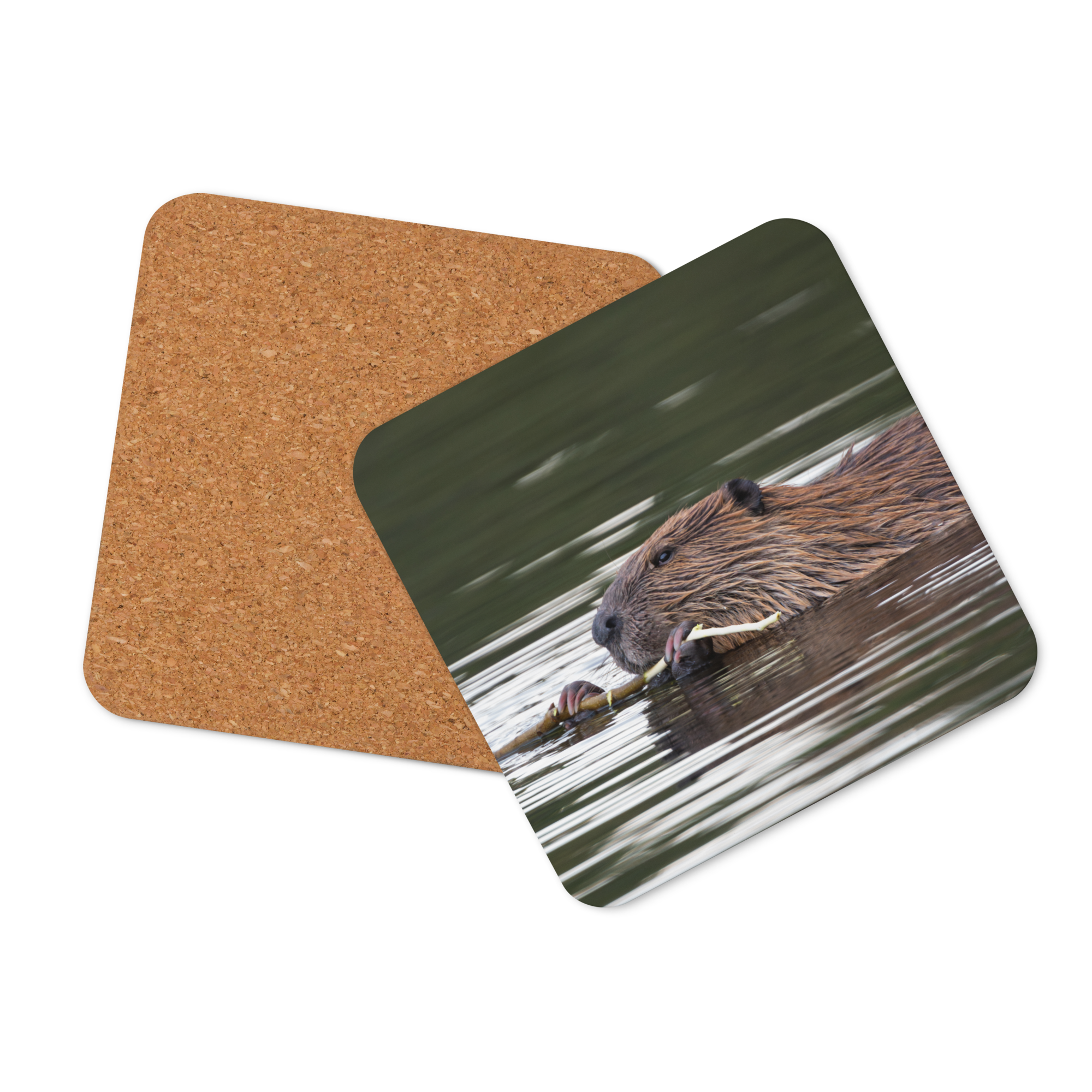 Beaver Cork-back coaster