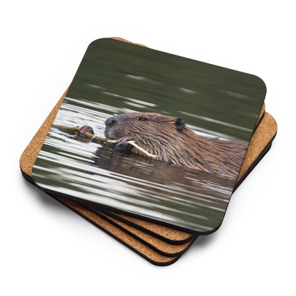 Beaver Cork-back coaster