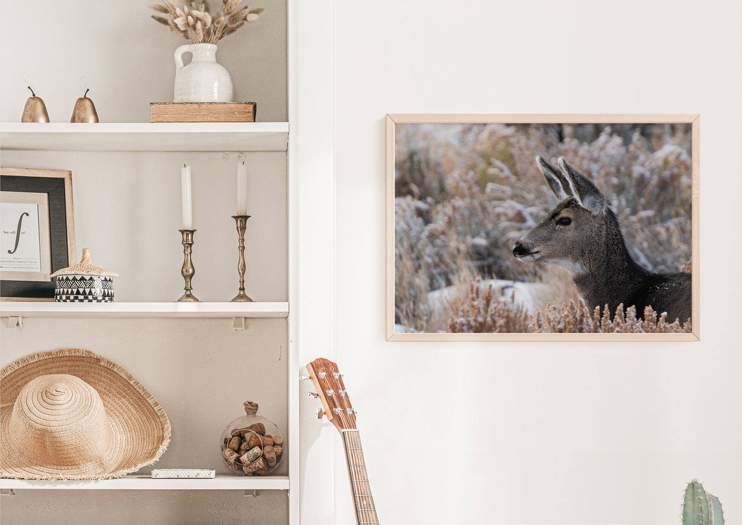 Mule Deer Fawn Wildlife Photography