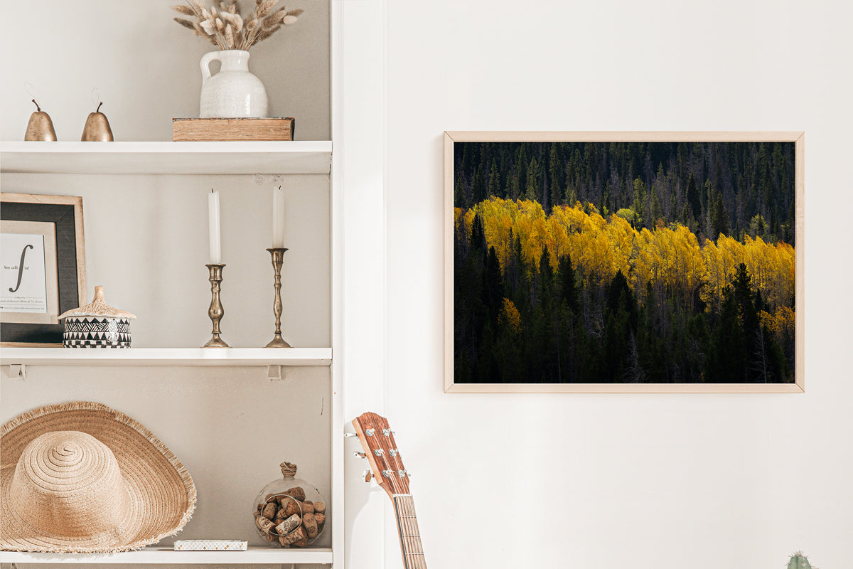 Wyoming in the Fall Home Decor Wall Art