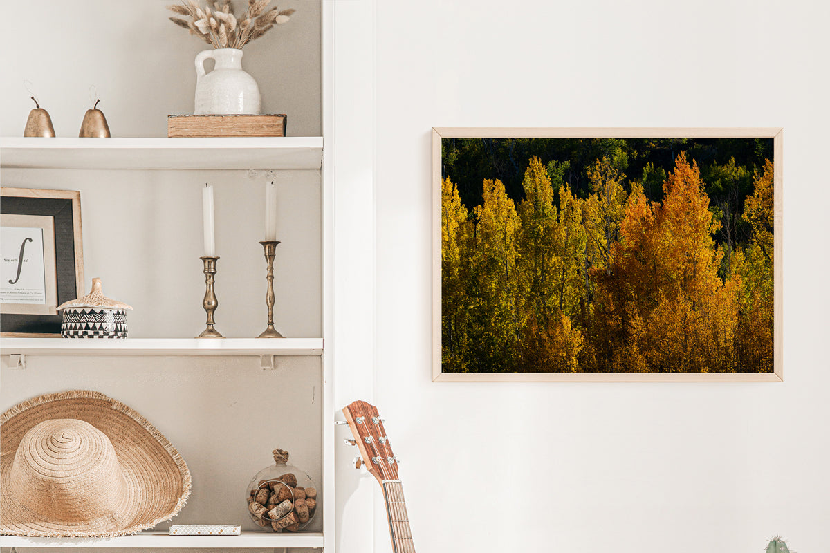 Detail of Aspens in the Fall Home Decor Wall Art