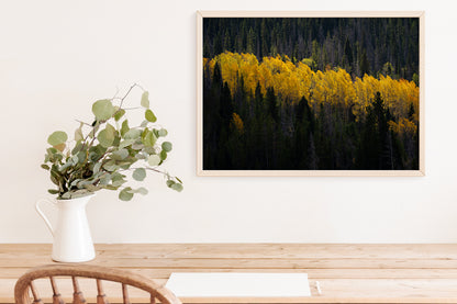 Wyoming in the Fall Home Decor Wall Art