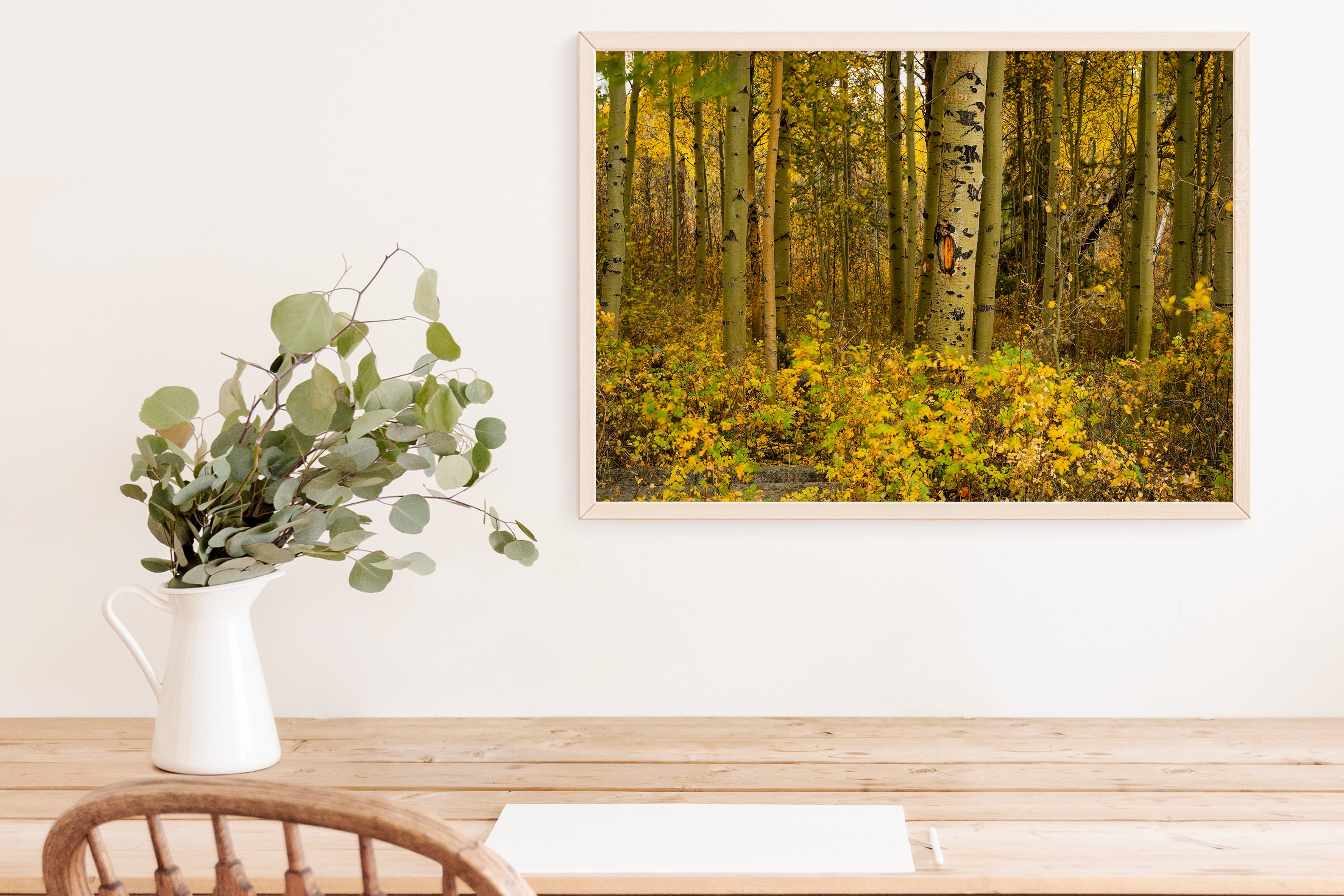 Aspen Trees in the Fall Home Decor Wall Art