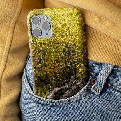 Rock With Aspens Tough Case for iPhone®