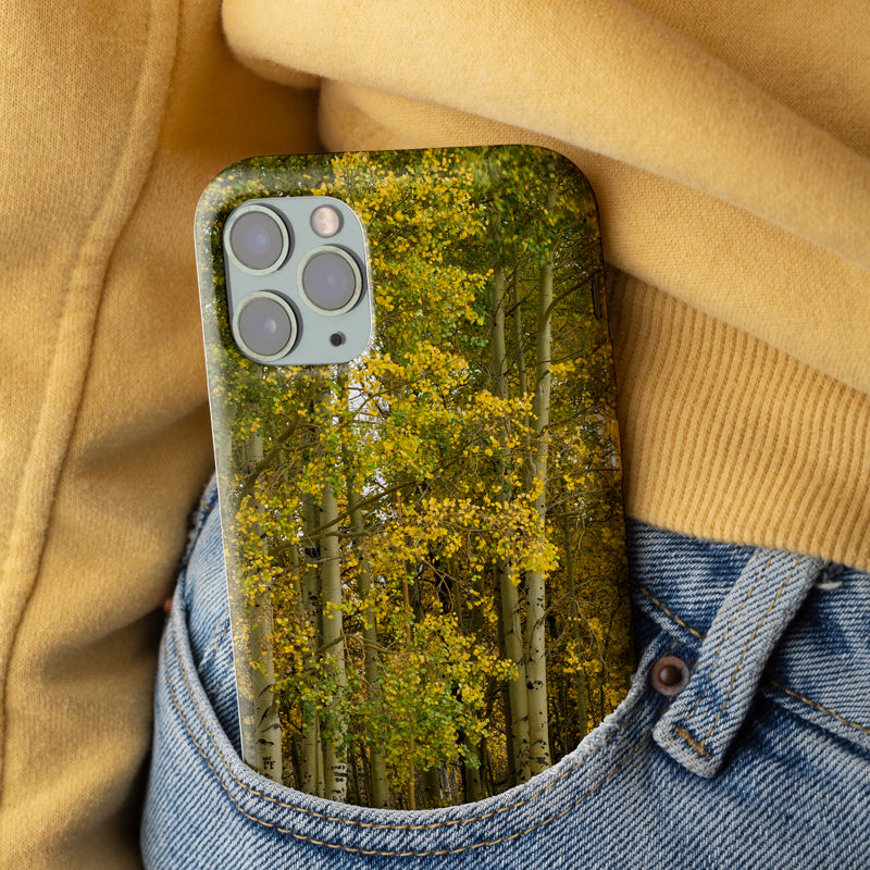 Fall New Fork Lake , Wyoming Tough Case for iPhone®