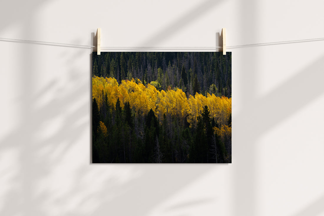 Wyoming in the Fall Home Decor Wall Art