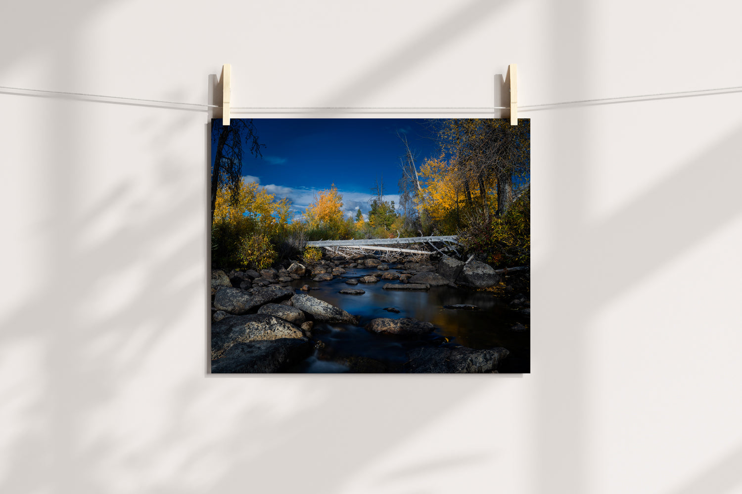 Crek in the Fall Home Decor Wall Art