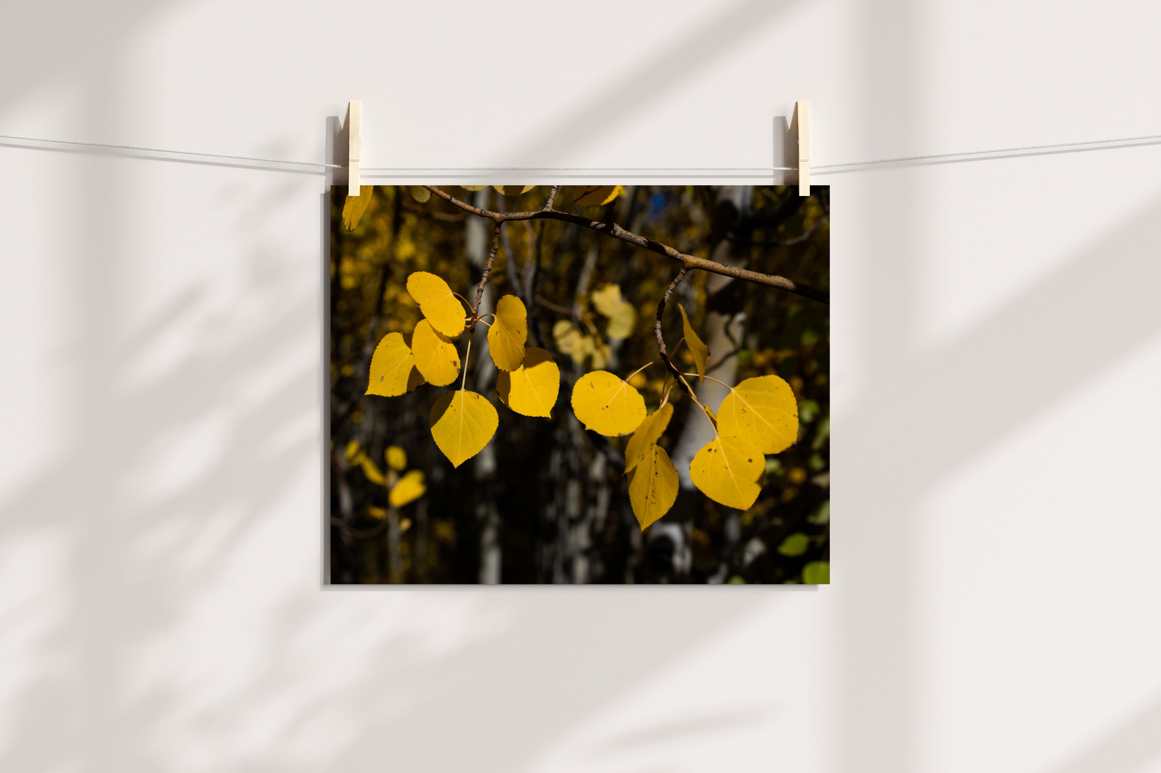 Fall Leaves  Home Decor Wall Art