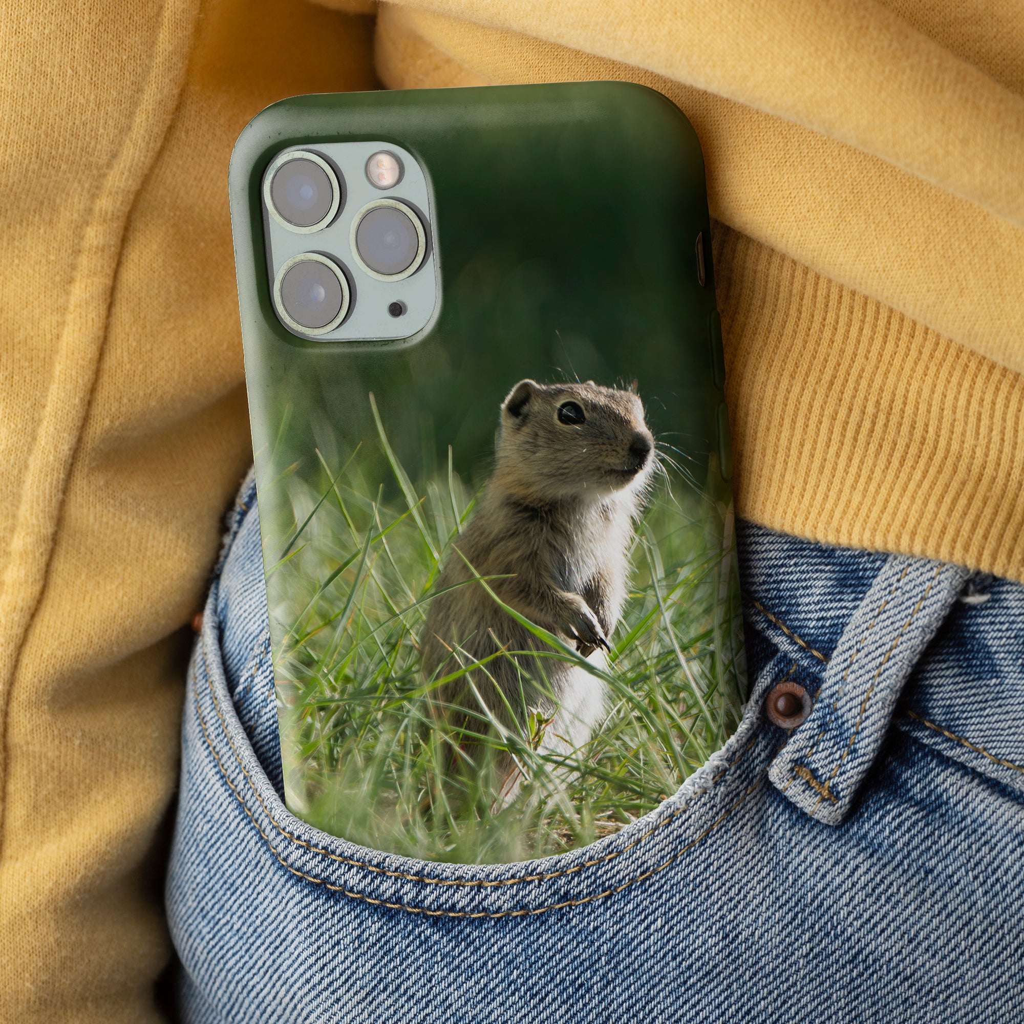 iPhone Cover and Wyoming Ground Squirrel