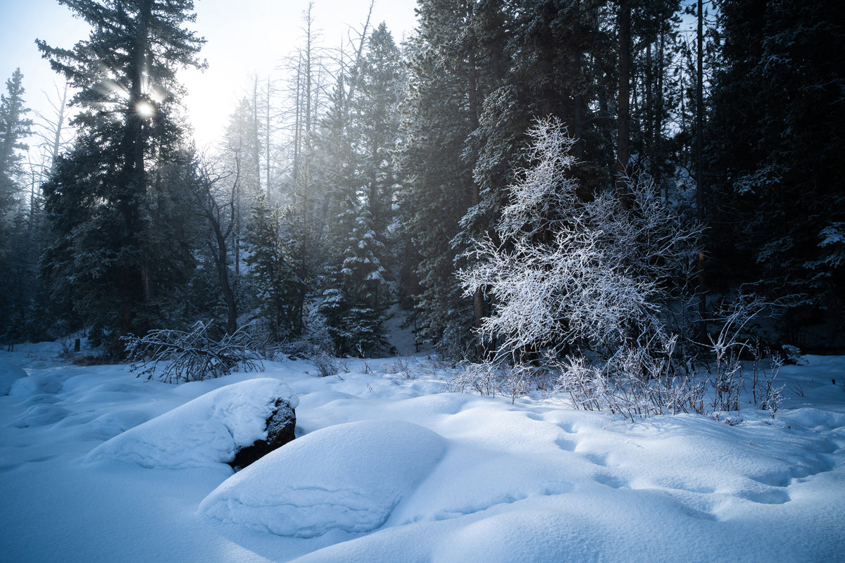 Landscape Photography: Half Moon Lake, Wyoming 5