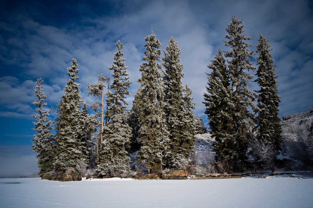 Frozen Lake Artwork: Capturing the Serenity of Half Moon Lake