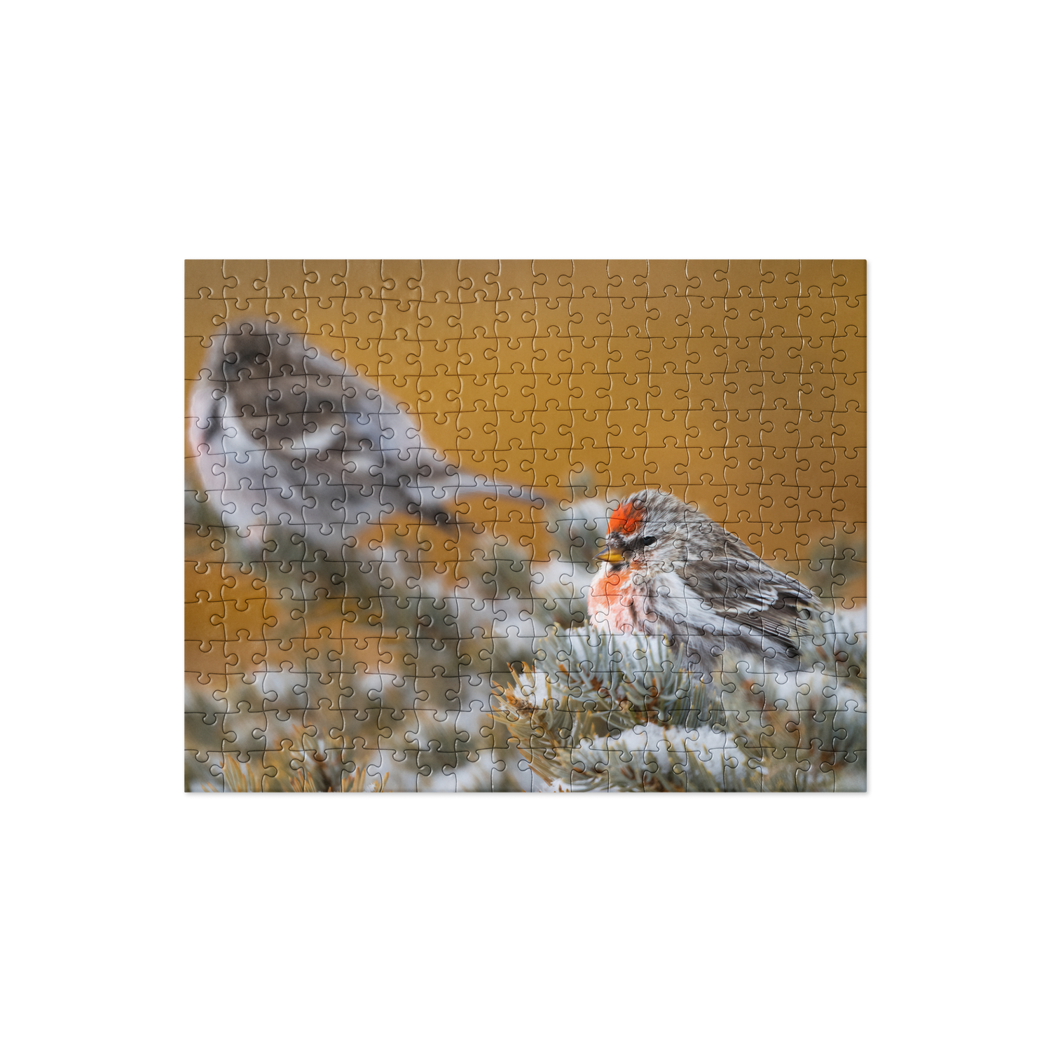 Jigsaw puzzle Common Redpoll