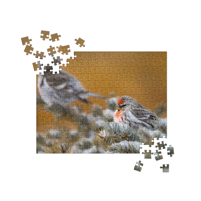 Jigsaw puzzle Common Redpoll