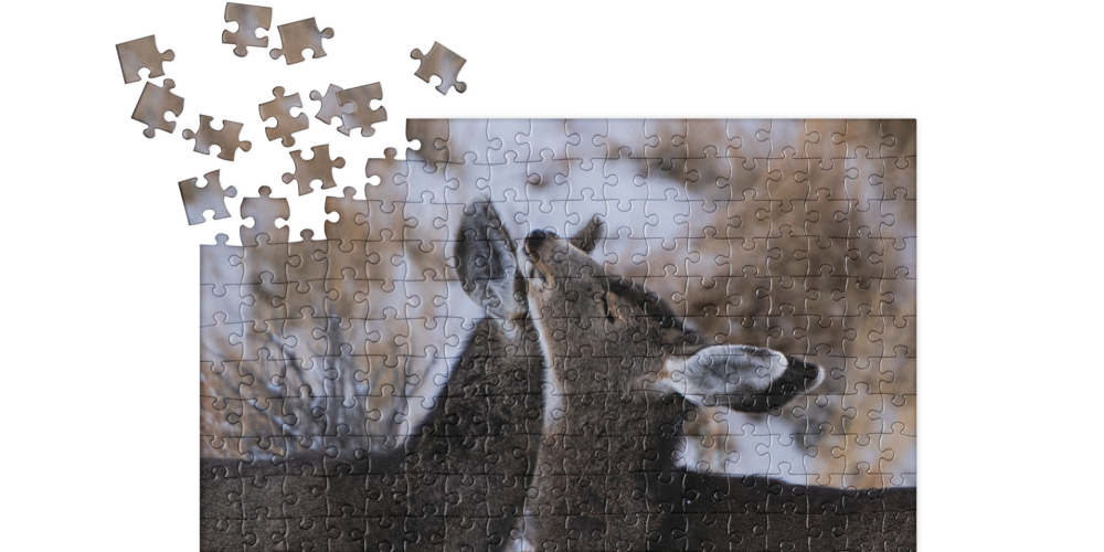 Jigsaw puzzle Cuddly Deer