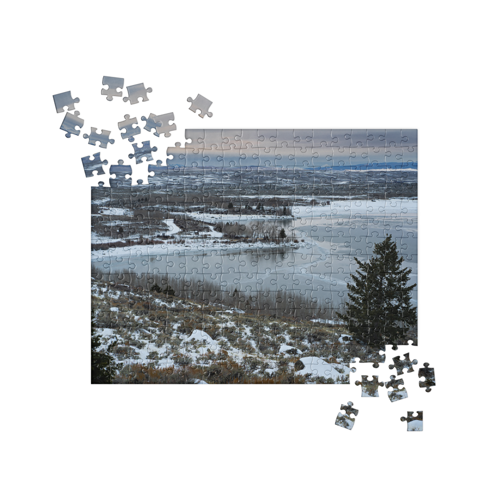 Jigsaw puzzle Willow Lake, Wyoming Scenerie