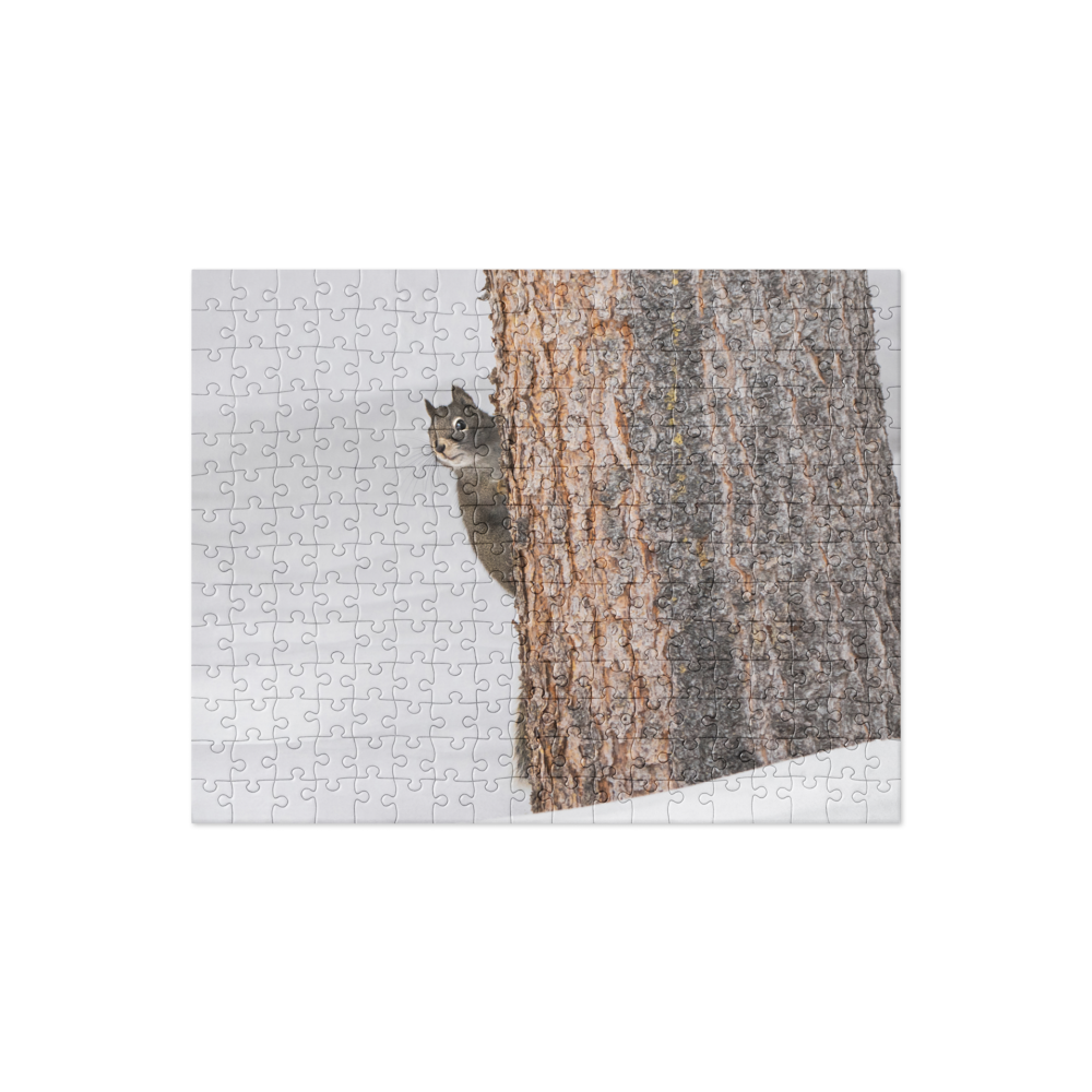 Jigsaw puzzle Squirrel